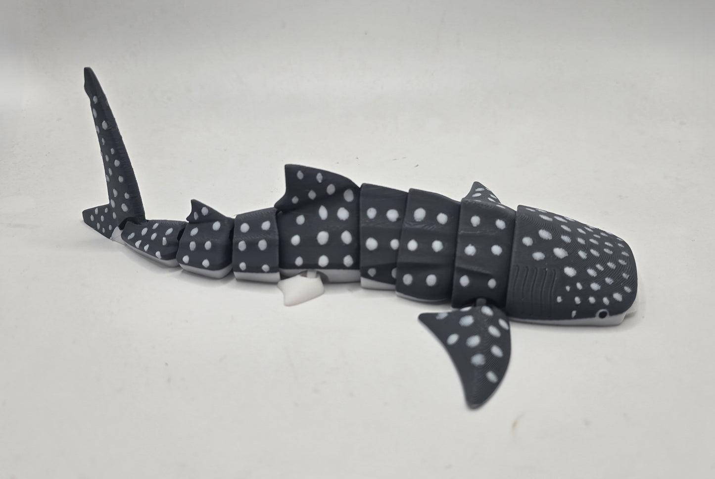 Whale Shark