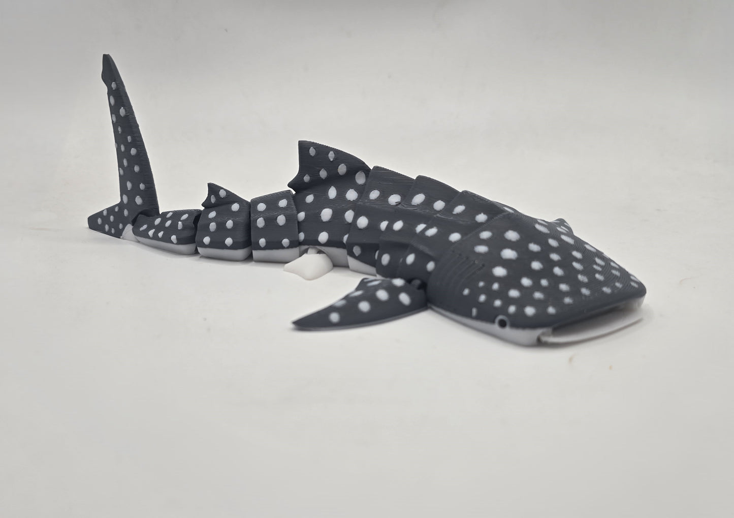 Whale Shark