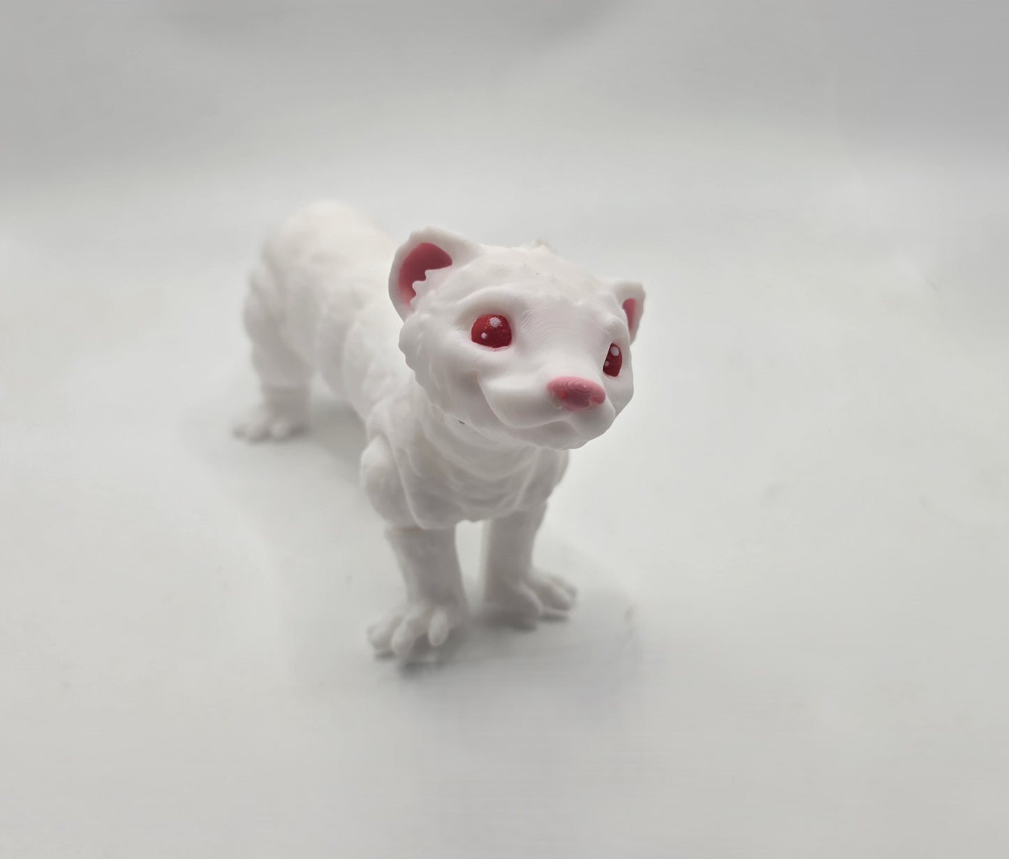 Ferrets