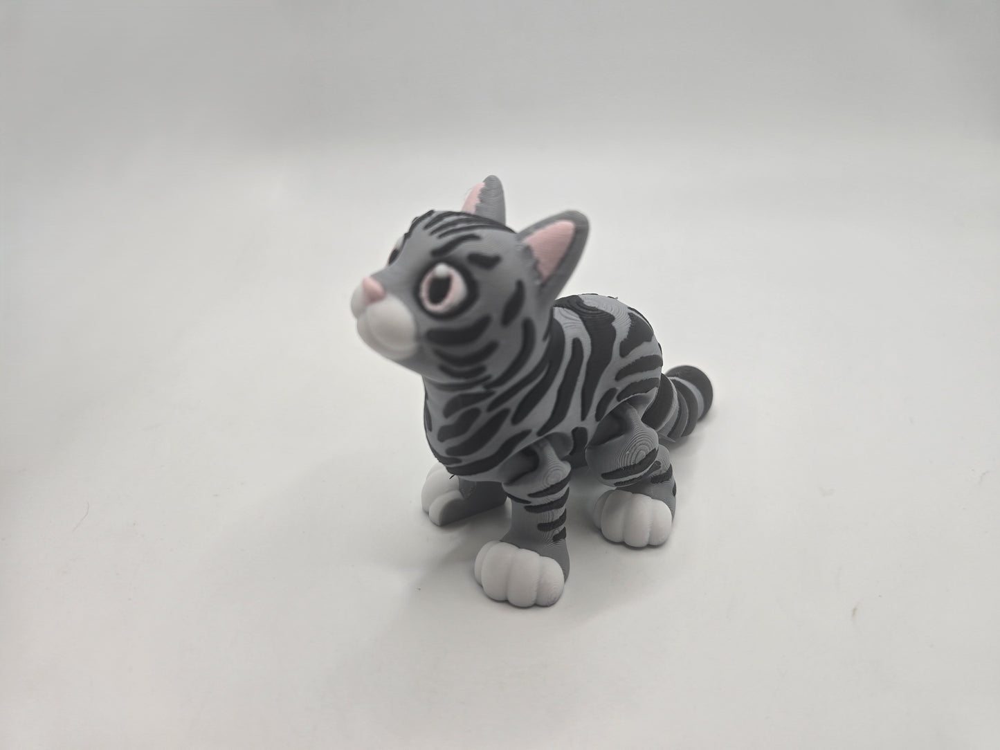 Short Haired Cat