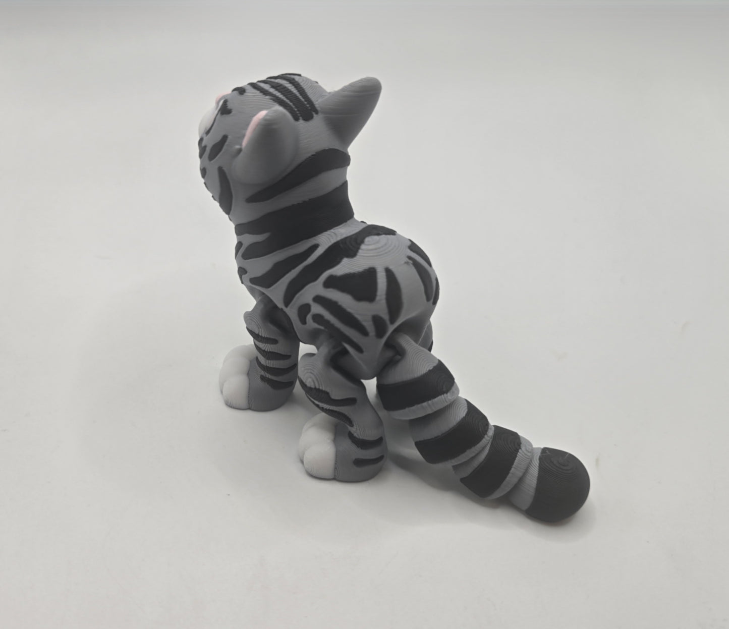 Short Haired Cat