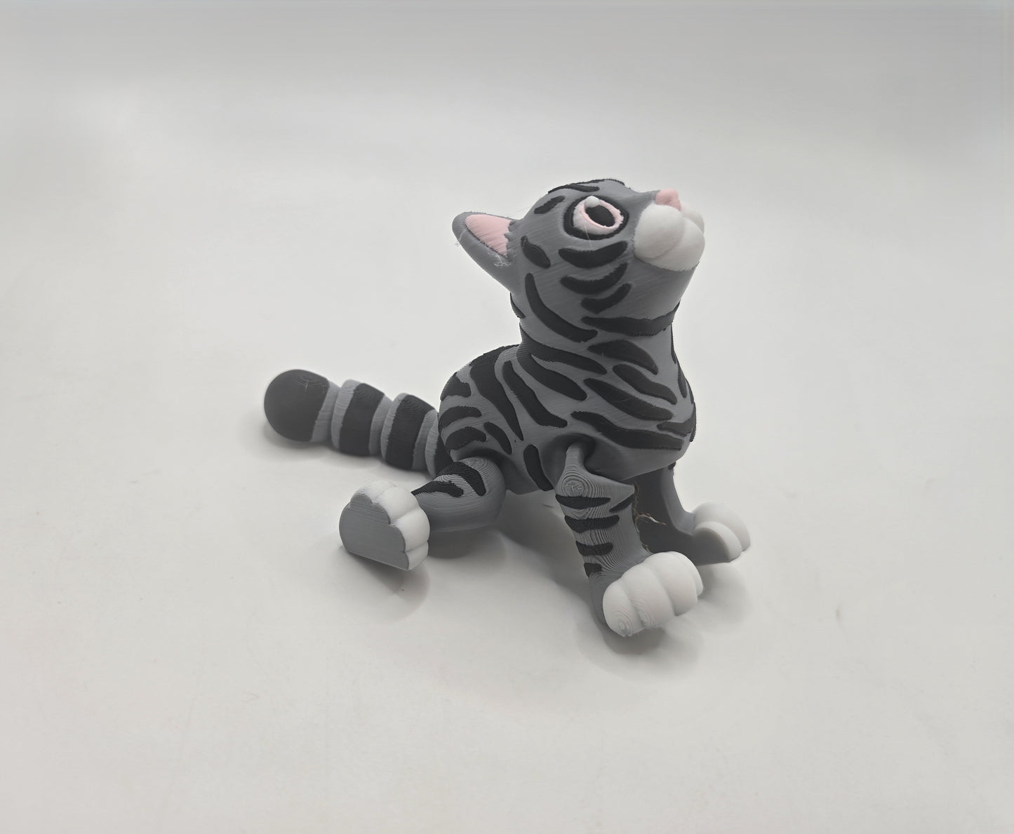 Short Haired Cat