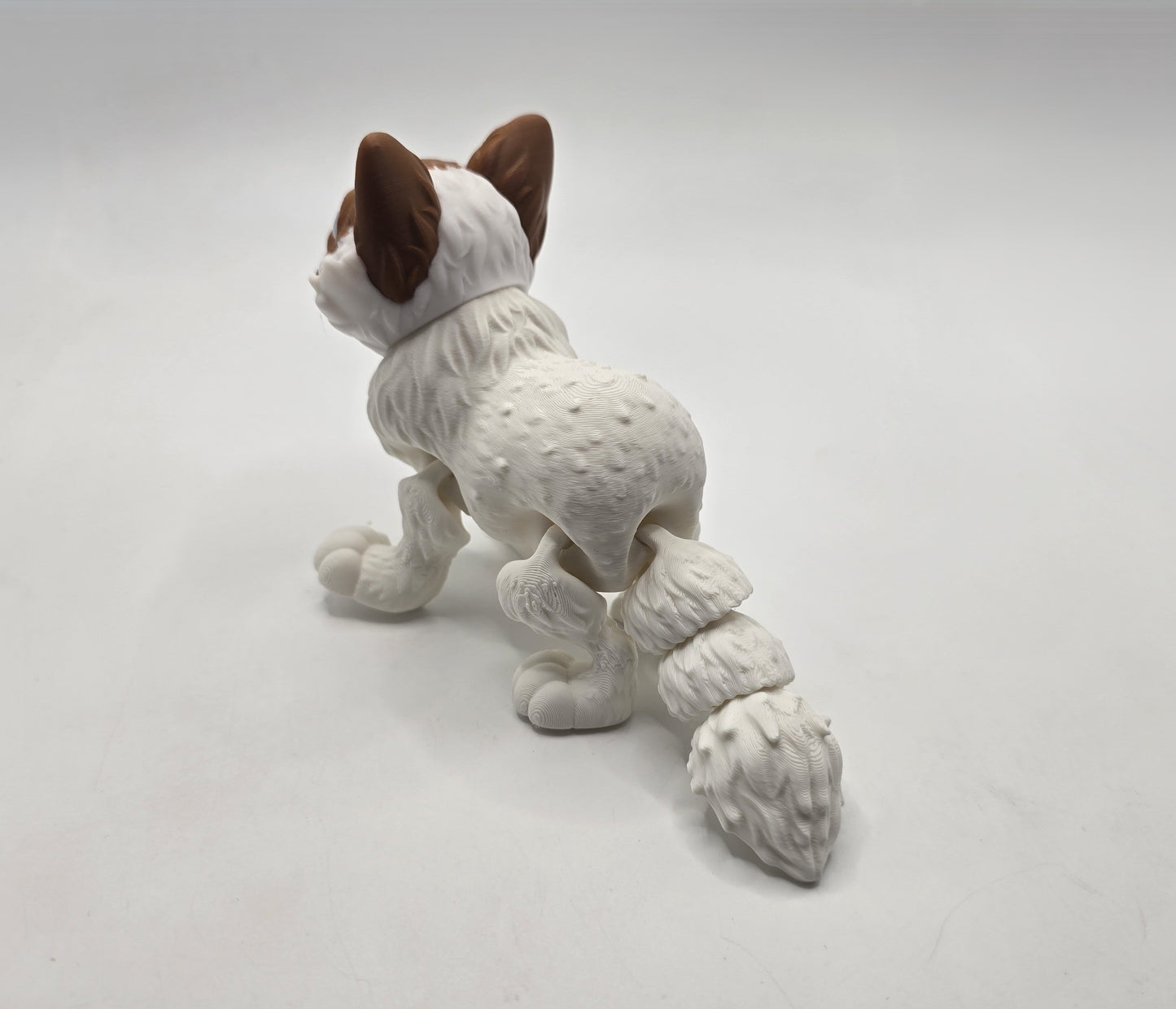 Ragdoll