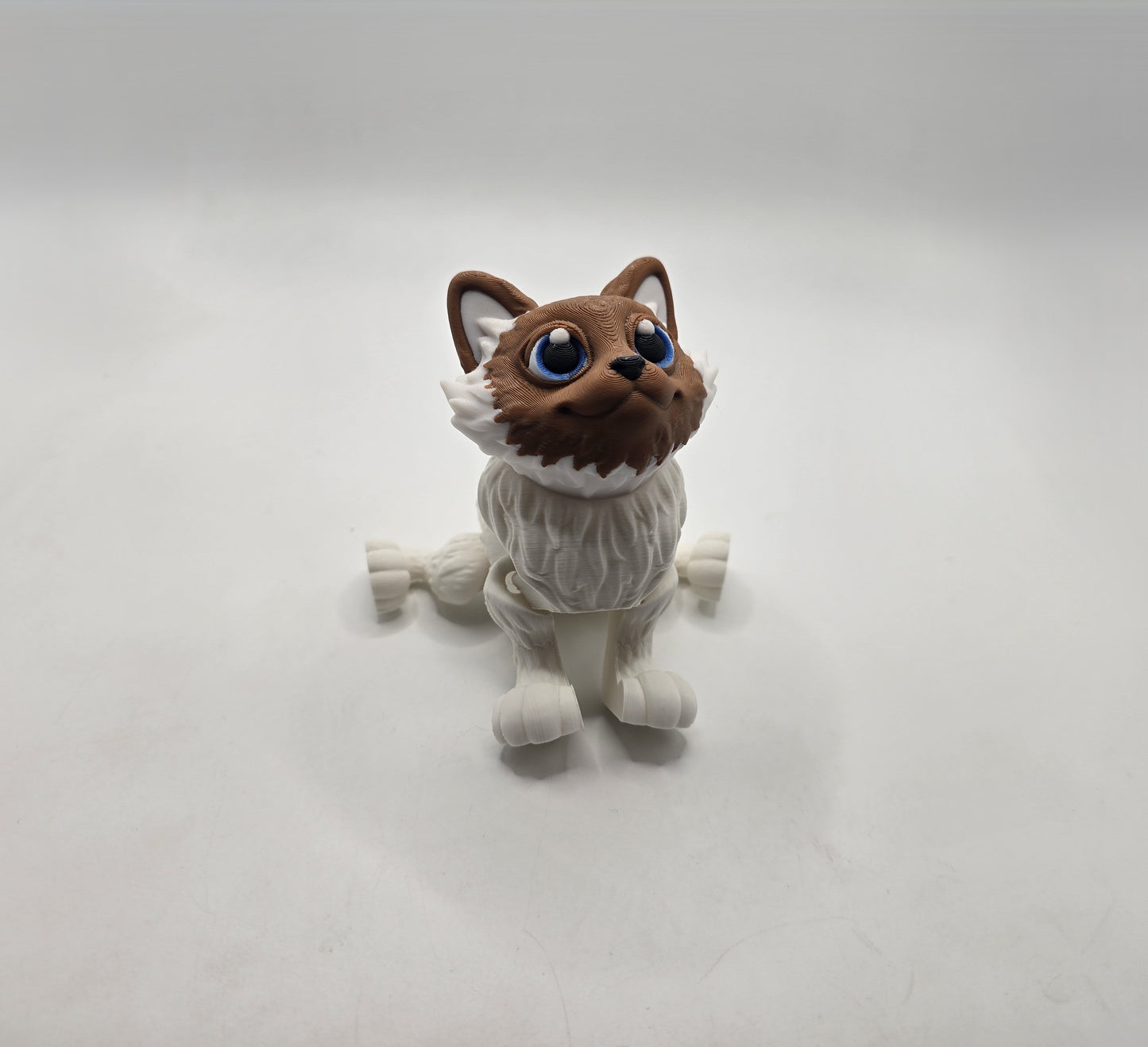 Ragdoll