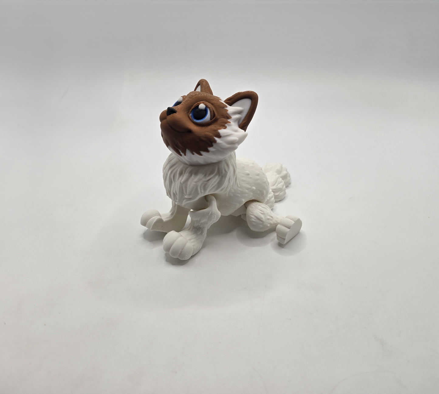 Ragdoll