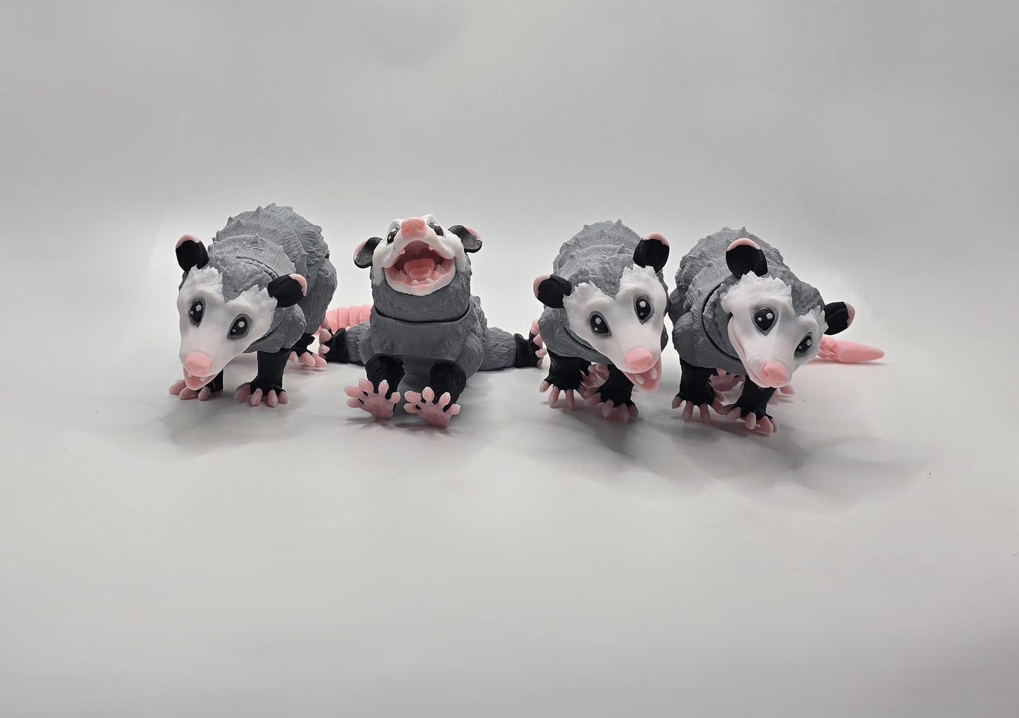 Opossum