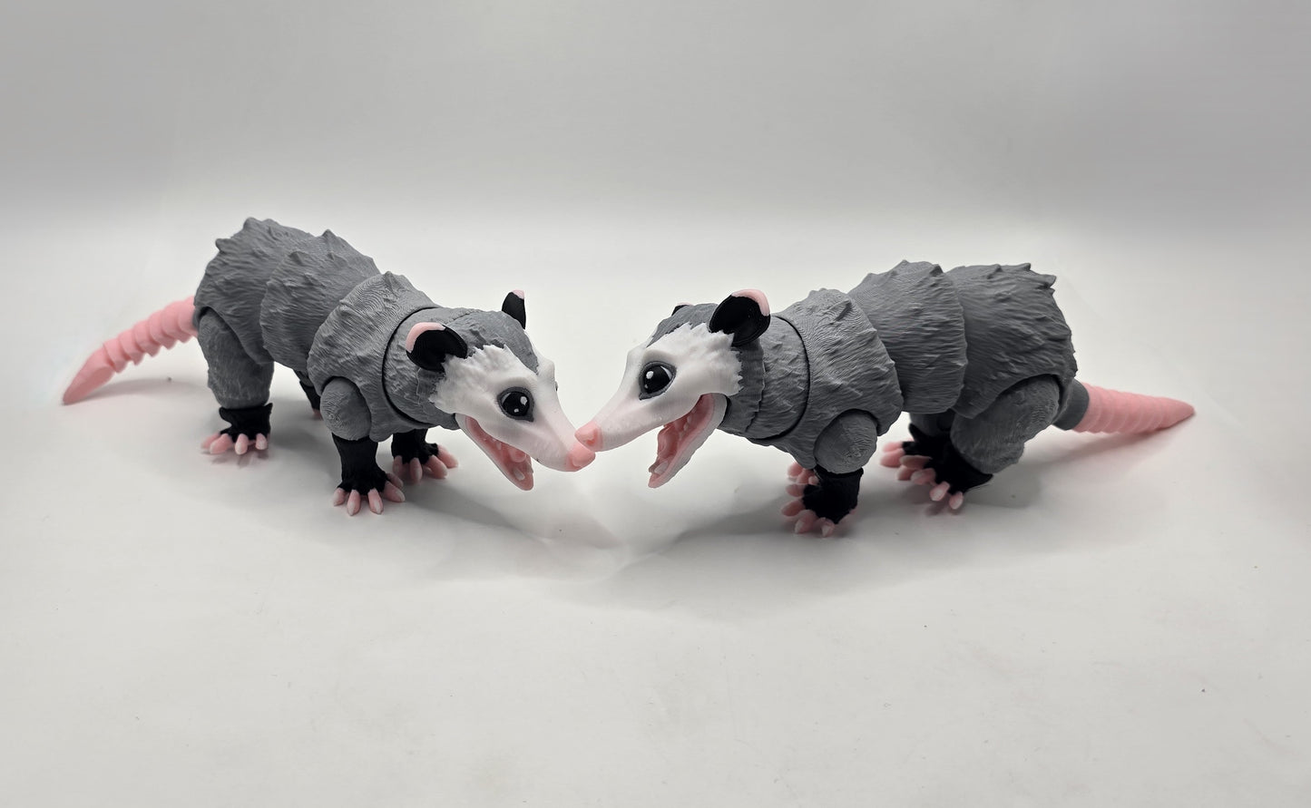 Opossum