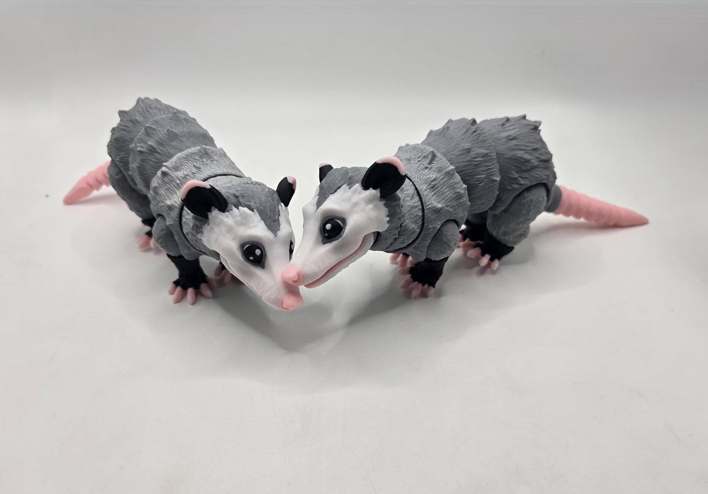 Opossum