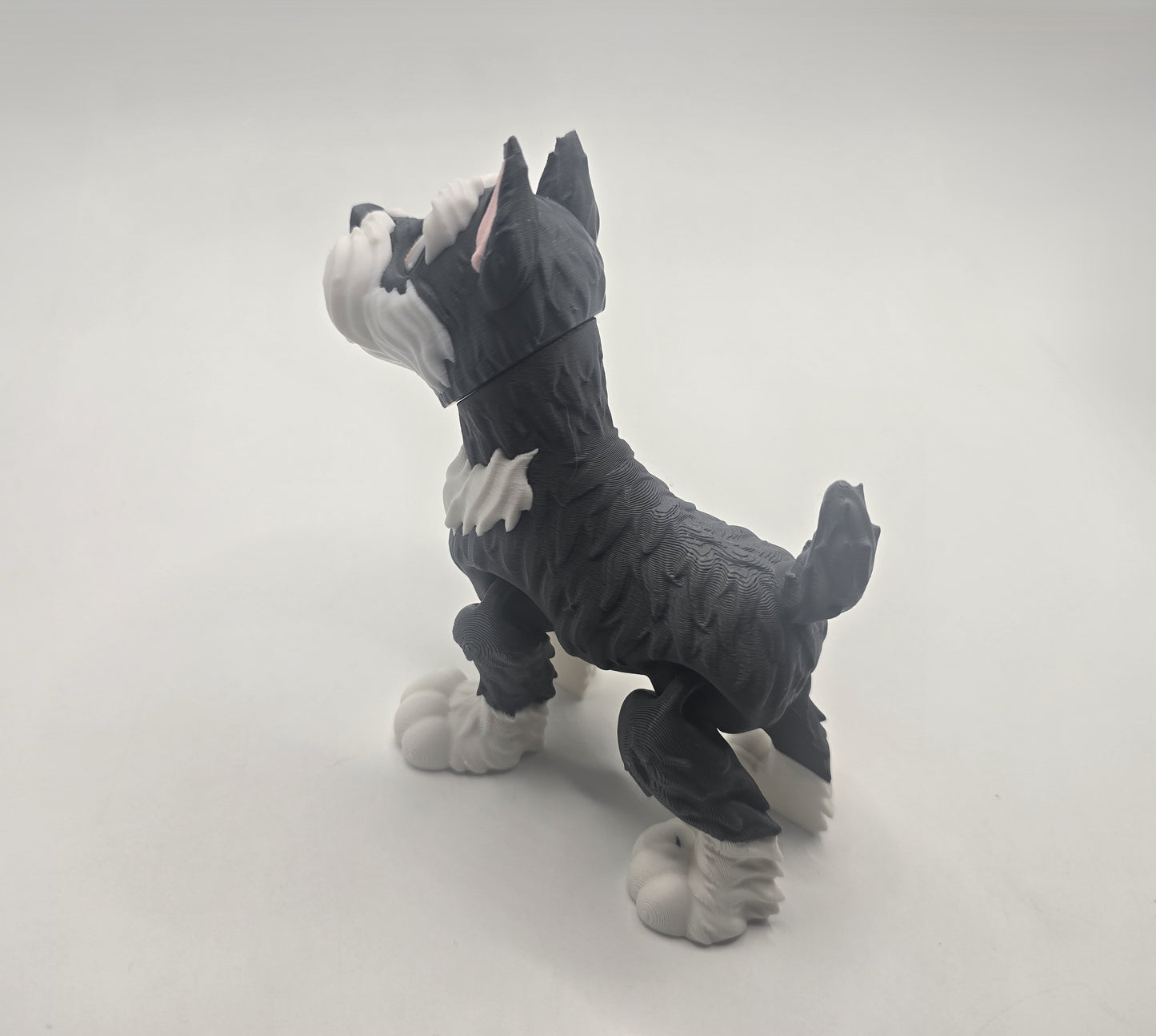 Schnauzer - No Hands 3d