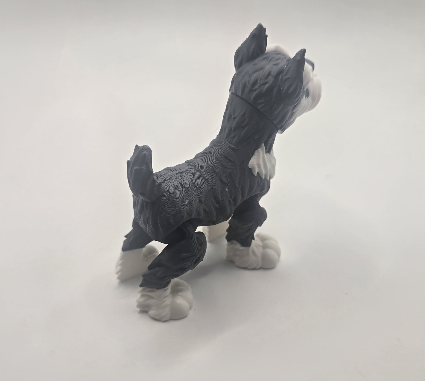 Schnauzer - No Hands 3d