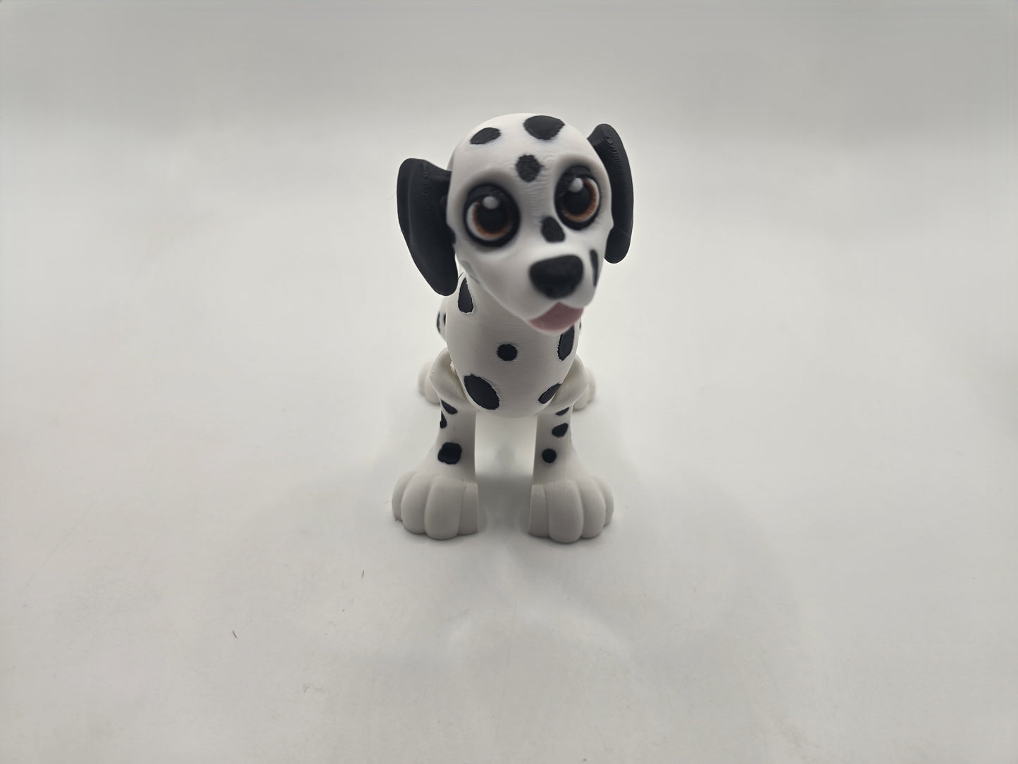 Dalmation