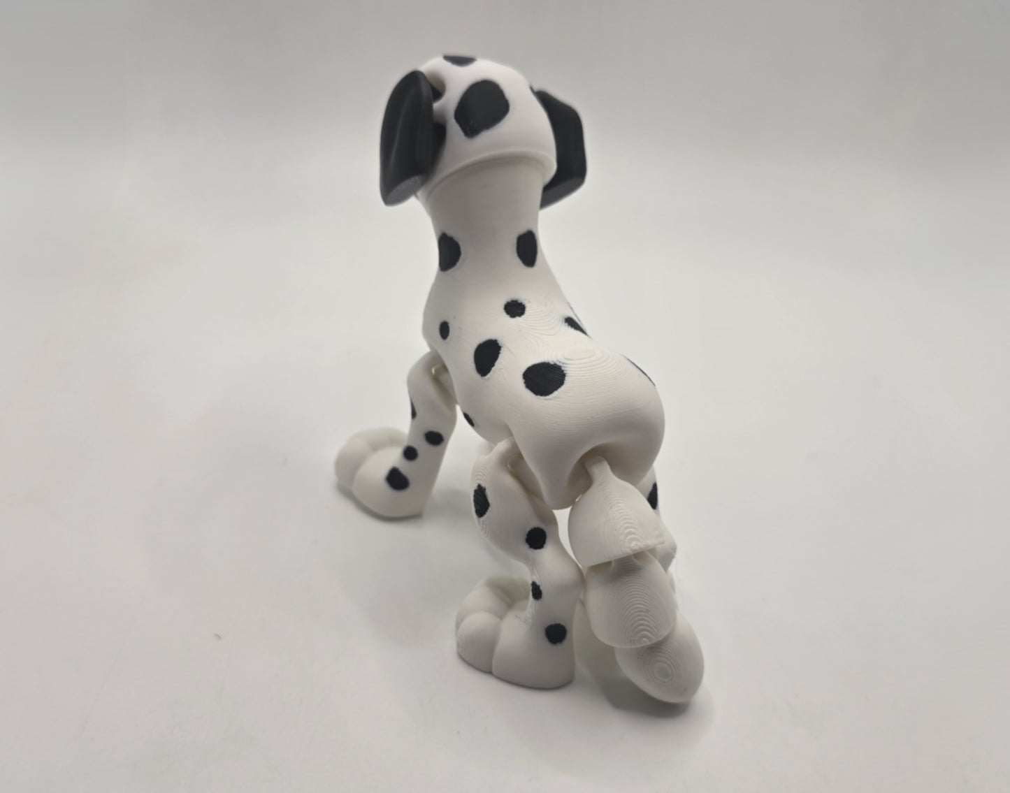 Dalmation