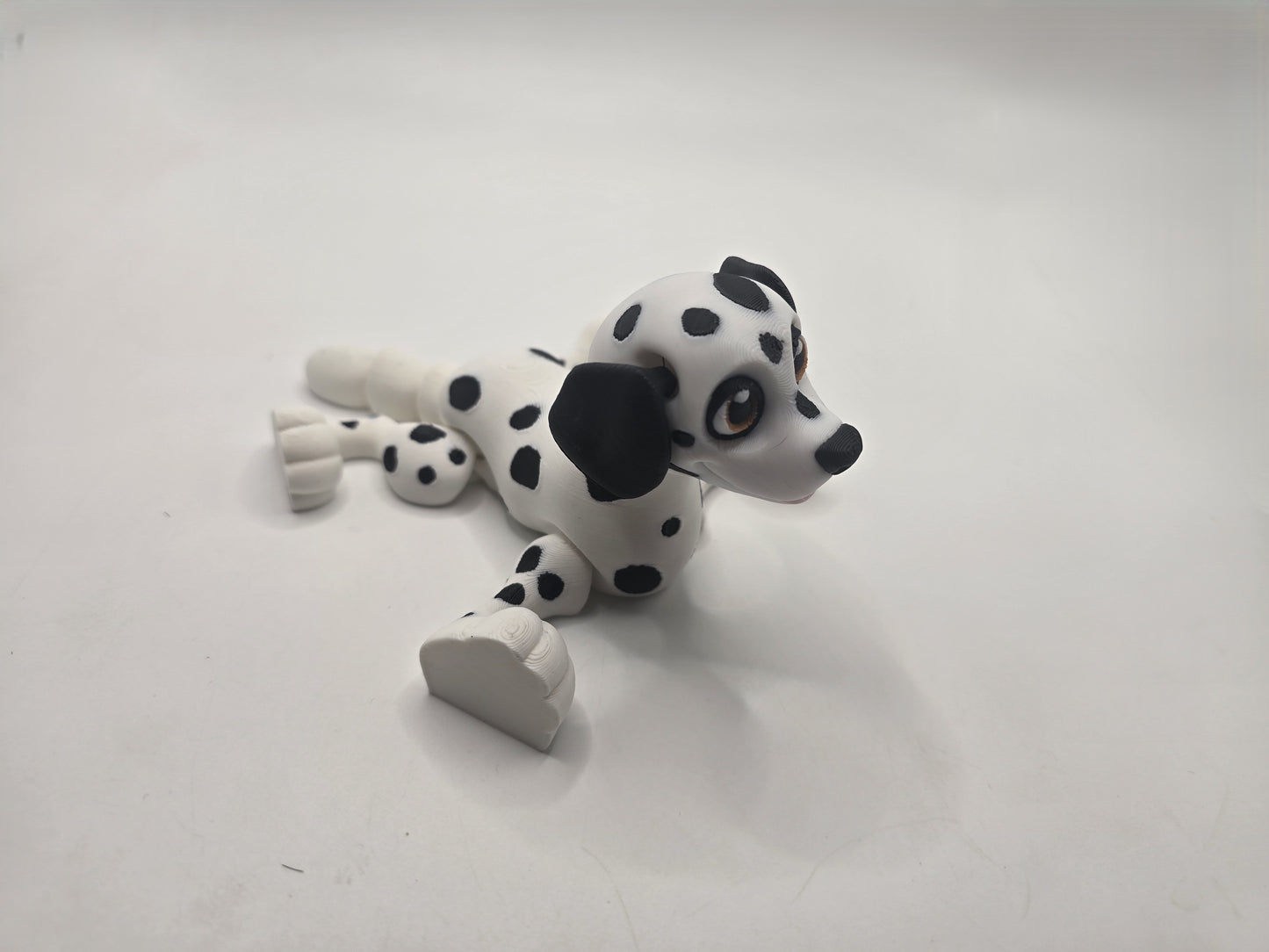 Dalmation