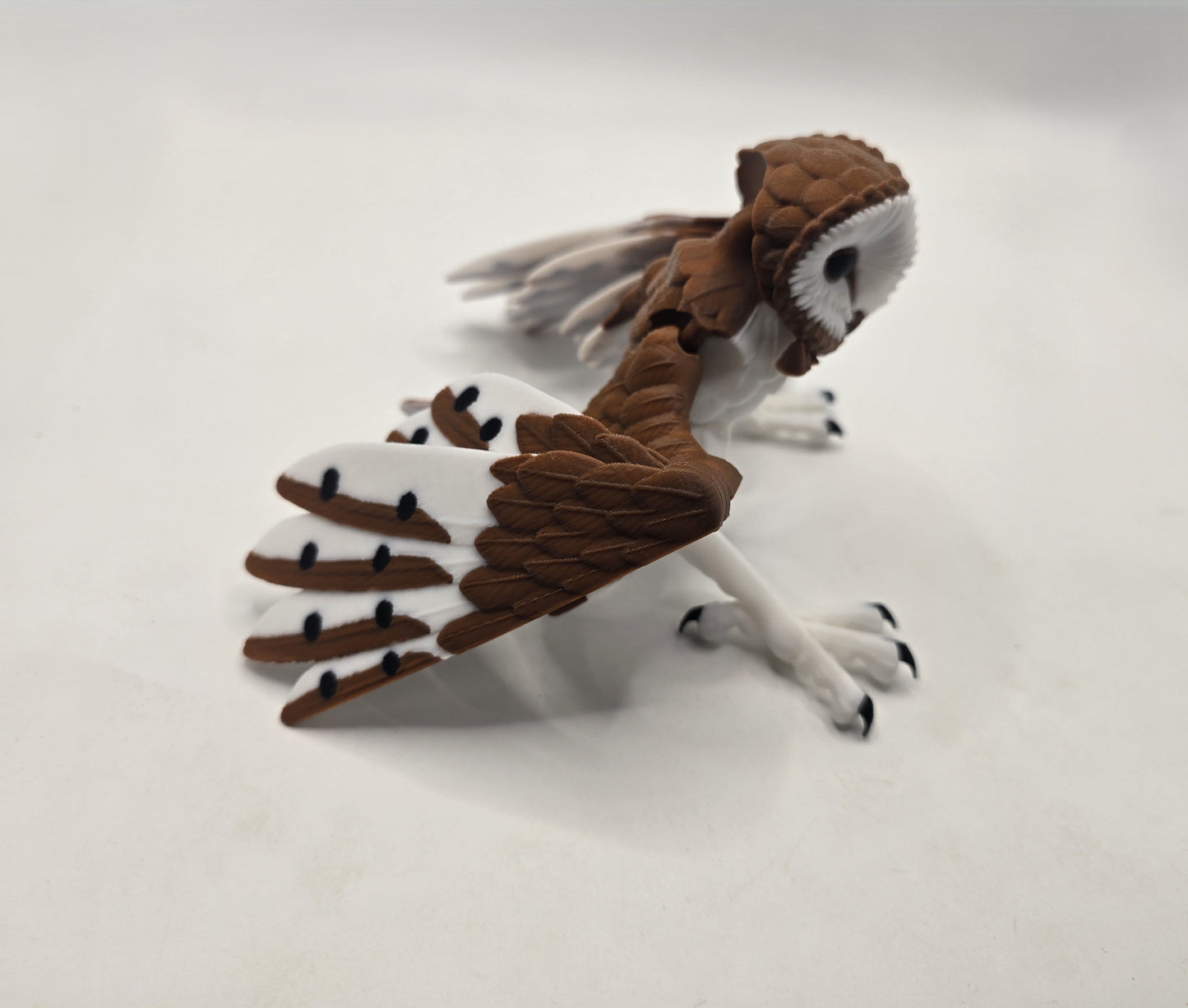 Barn Owl - No Hands 3d