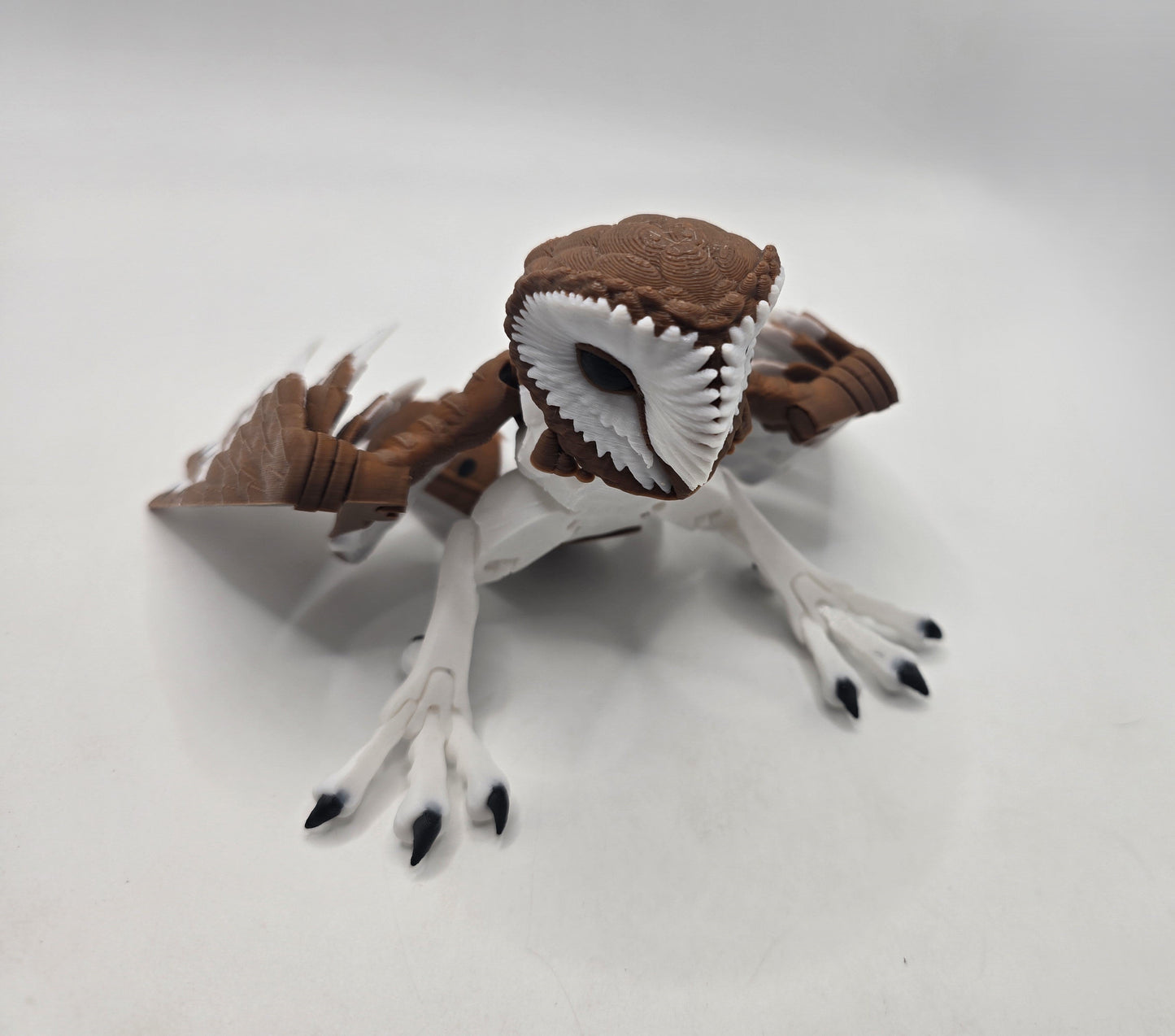 Barn Owl - No Hands 3d
