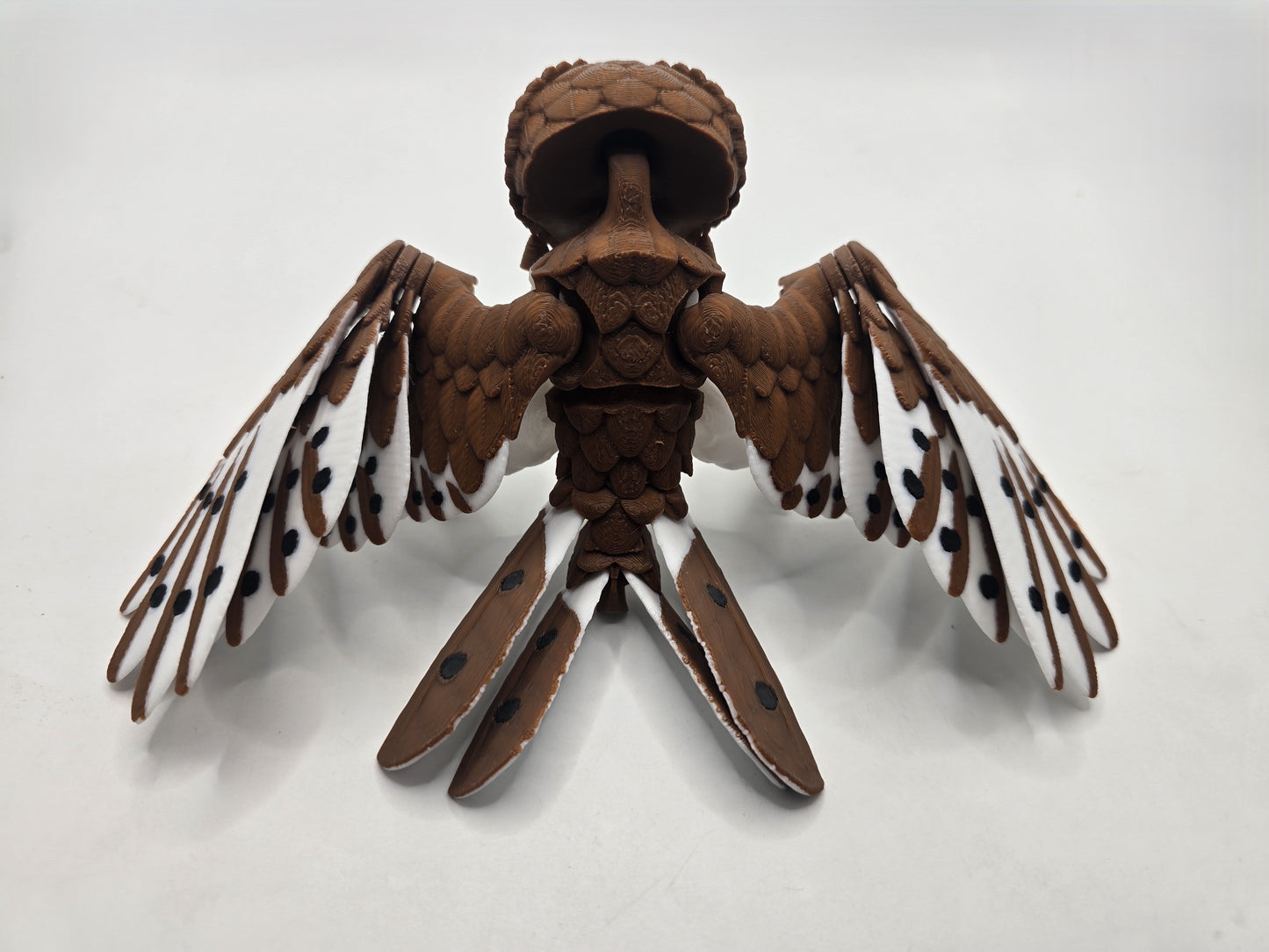 Barn Owl - No Hands 3d