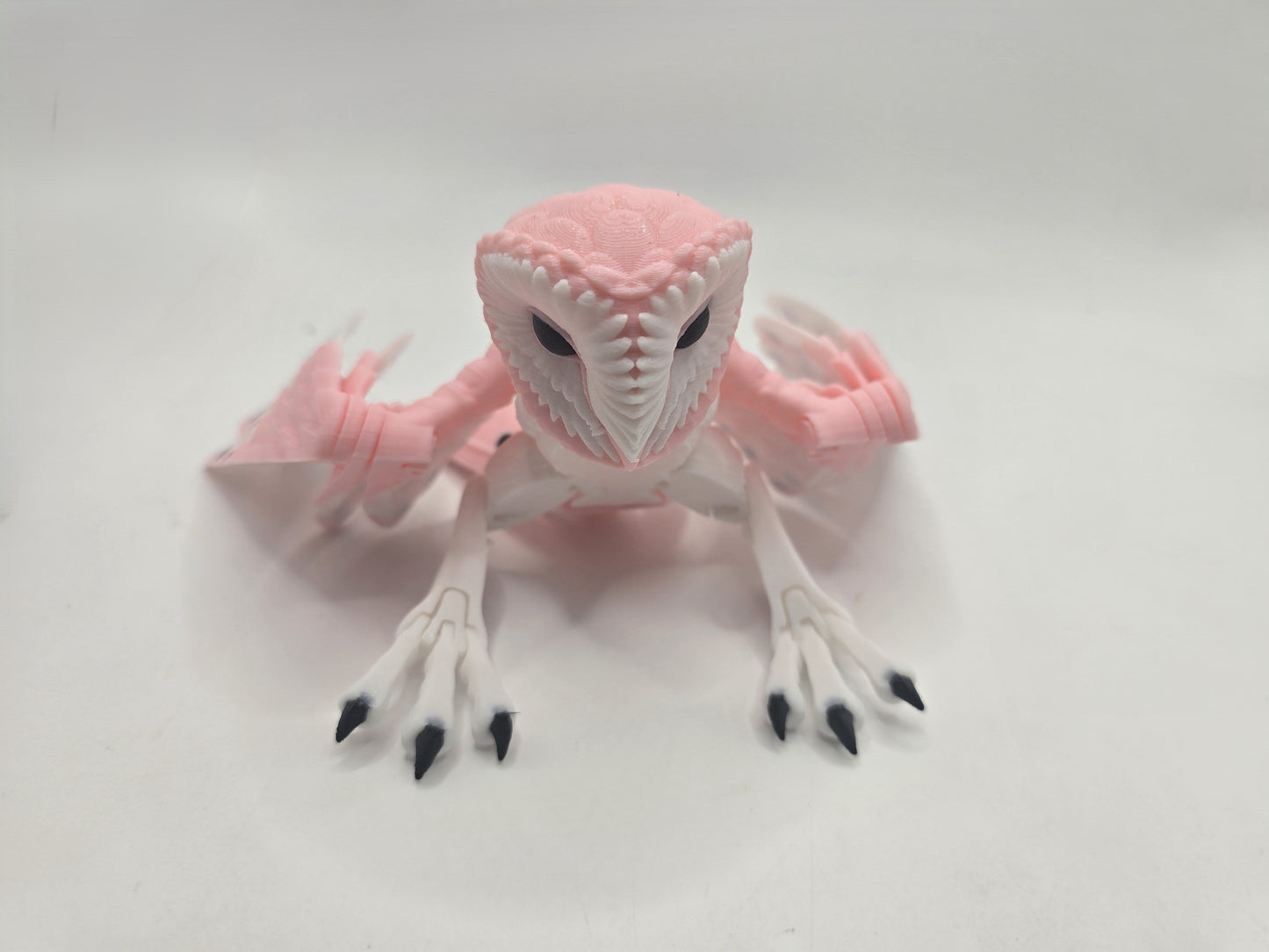 Barn Owl - No Hands 3d