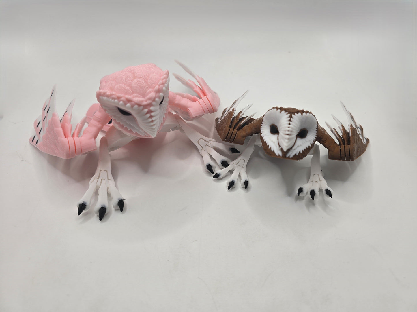 Barn Owl - No Hands 3d