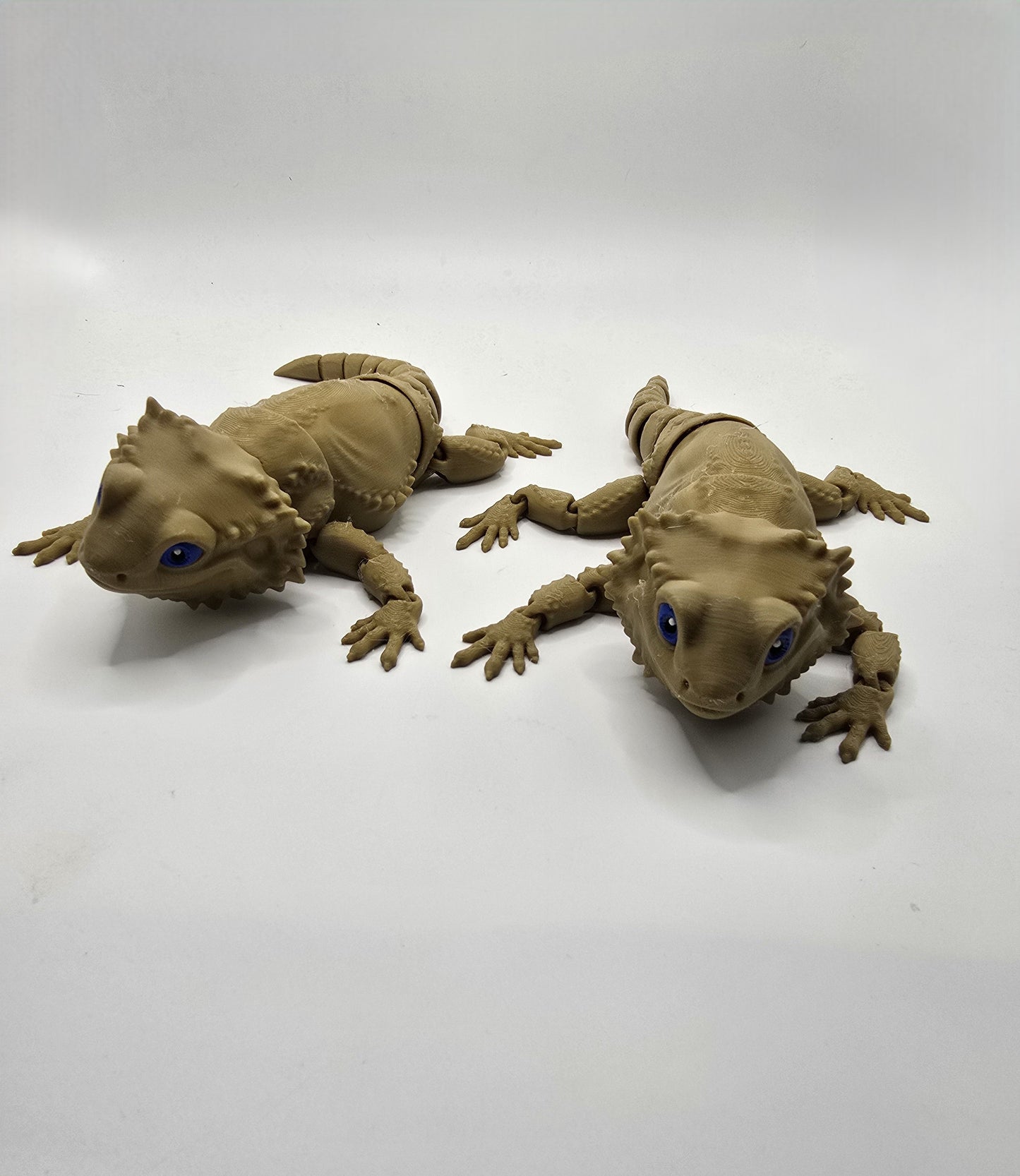 Burt the Bearded Dragon - No Hands 3d
