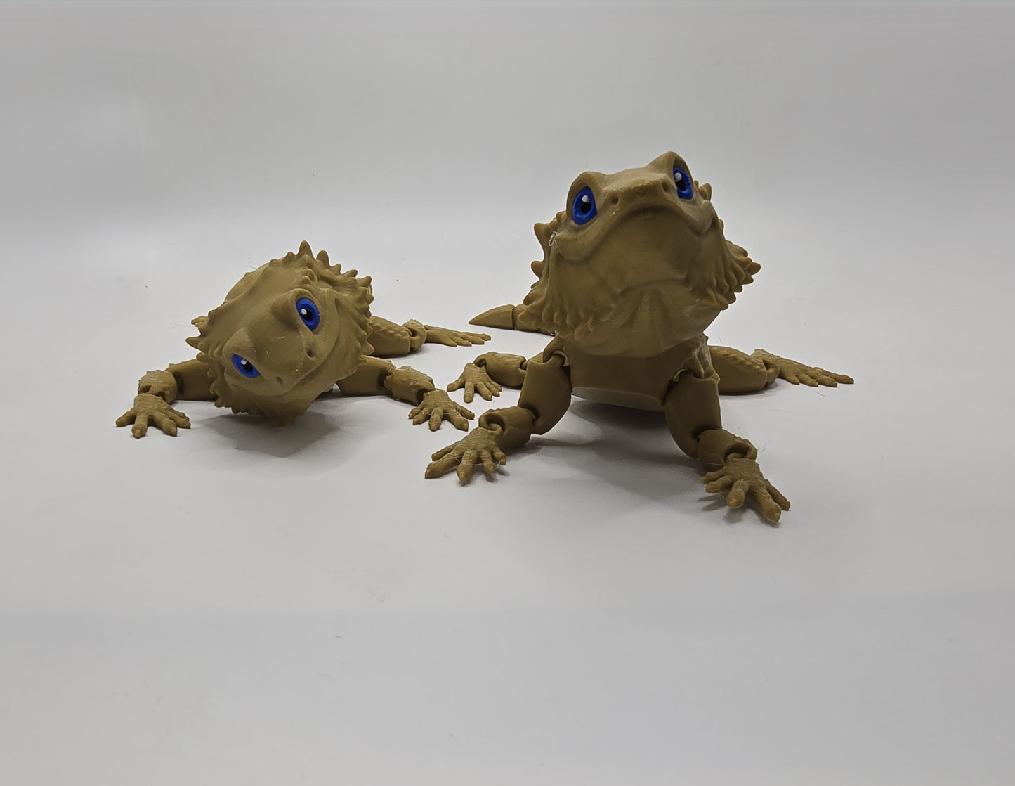 Burt the Bearded Dragon - No Hands 3d