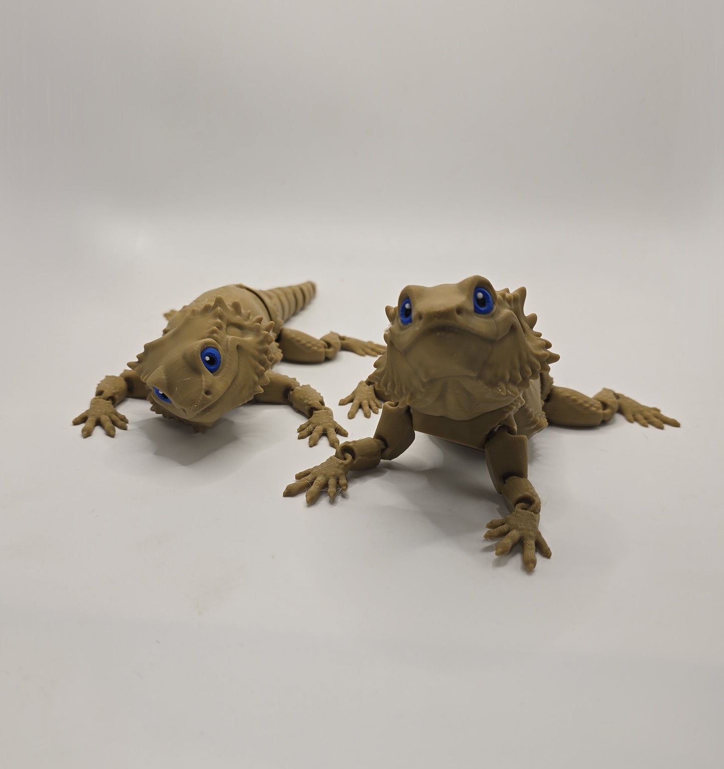 Burt the Bearded Dragon - No Hands 3d