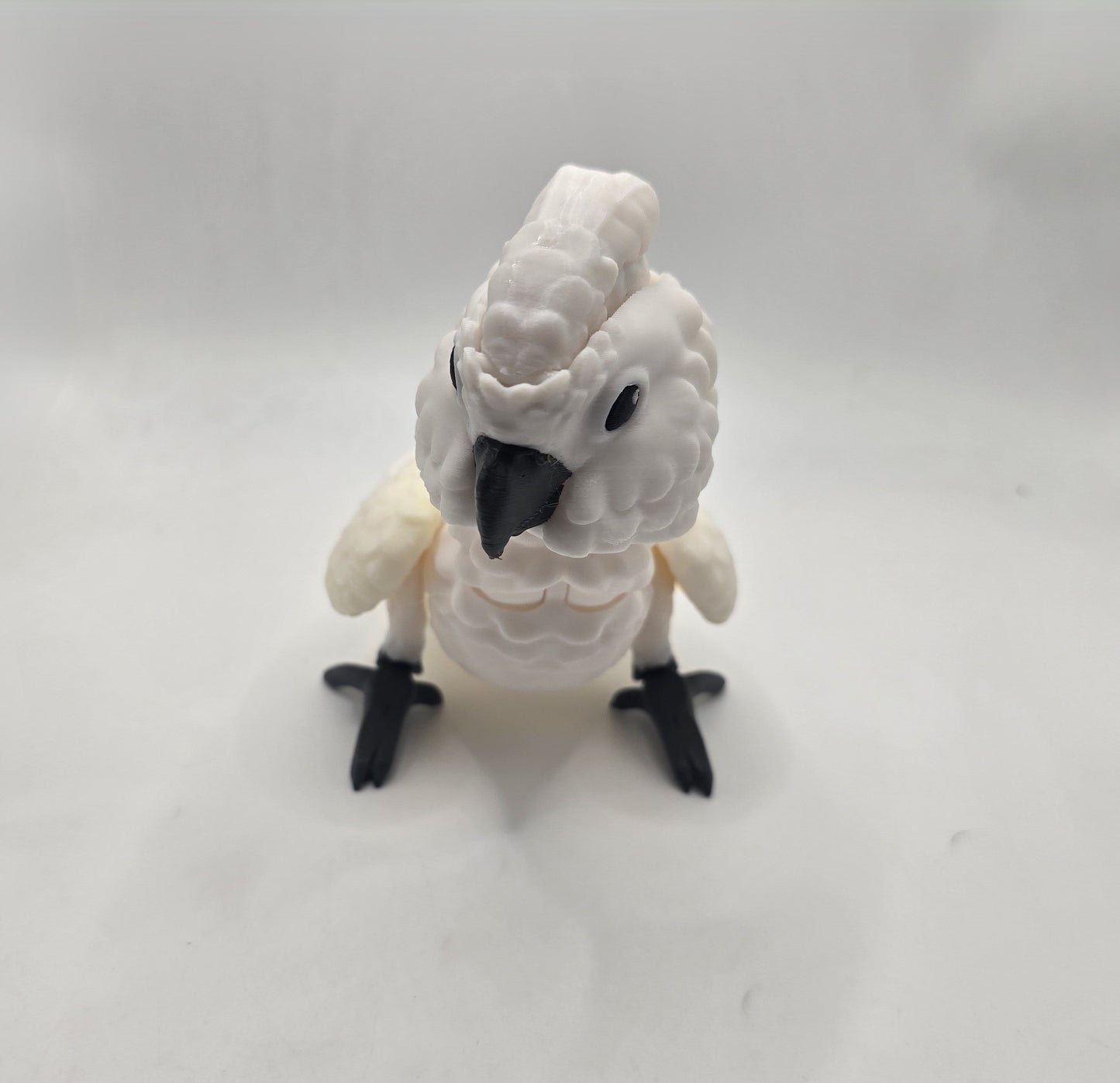 Cockatoo - No Hands 3d
