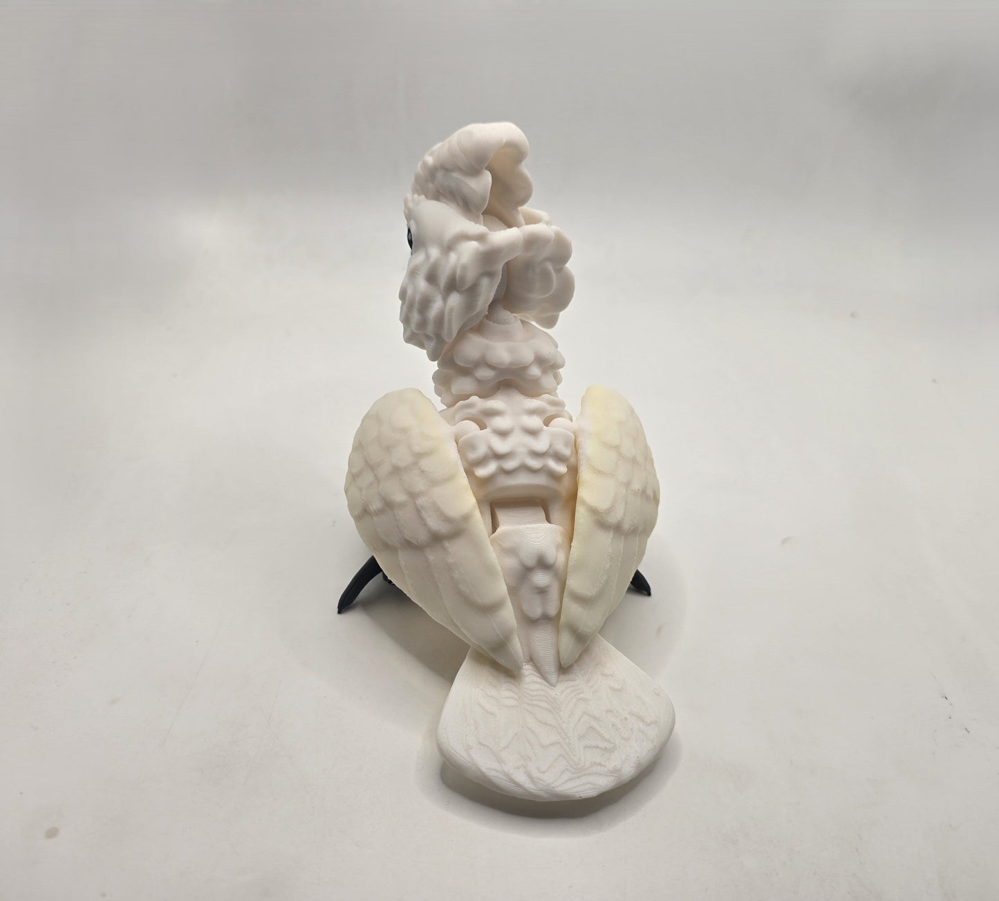 Cockatoo - No Hands 3d