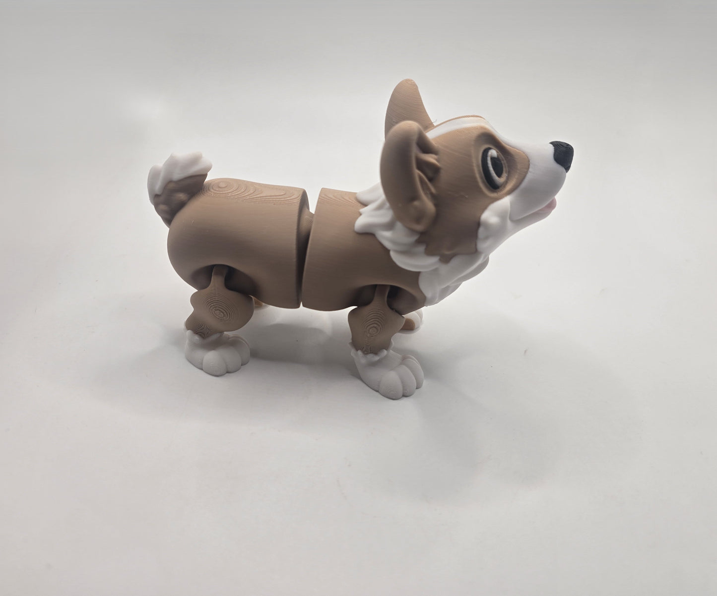 Corgi's - No Hands 3d