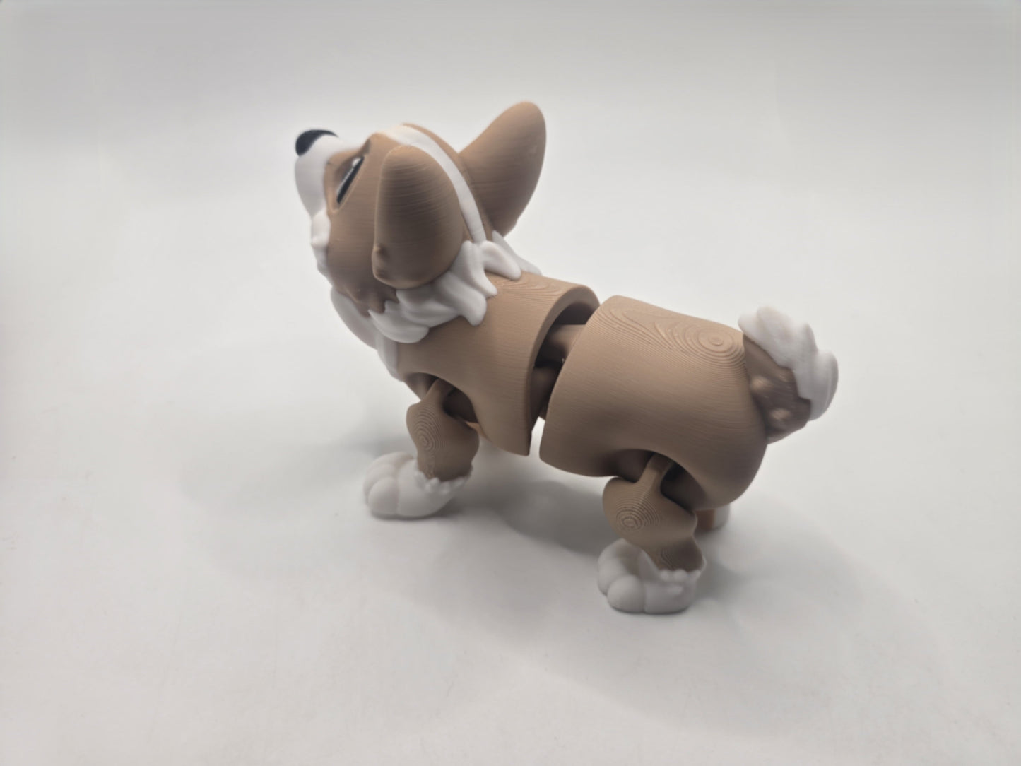 Corgi's - No Hands 3d