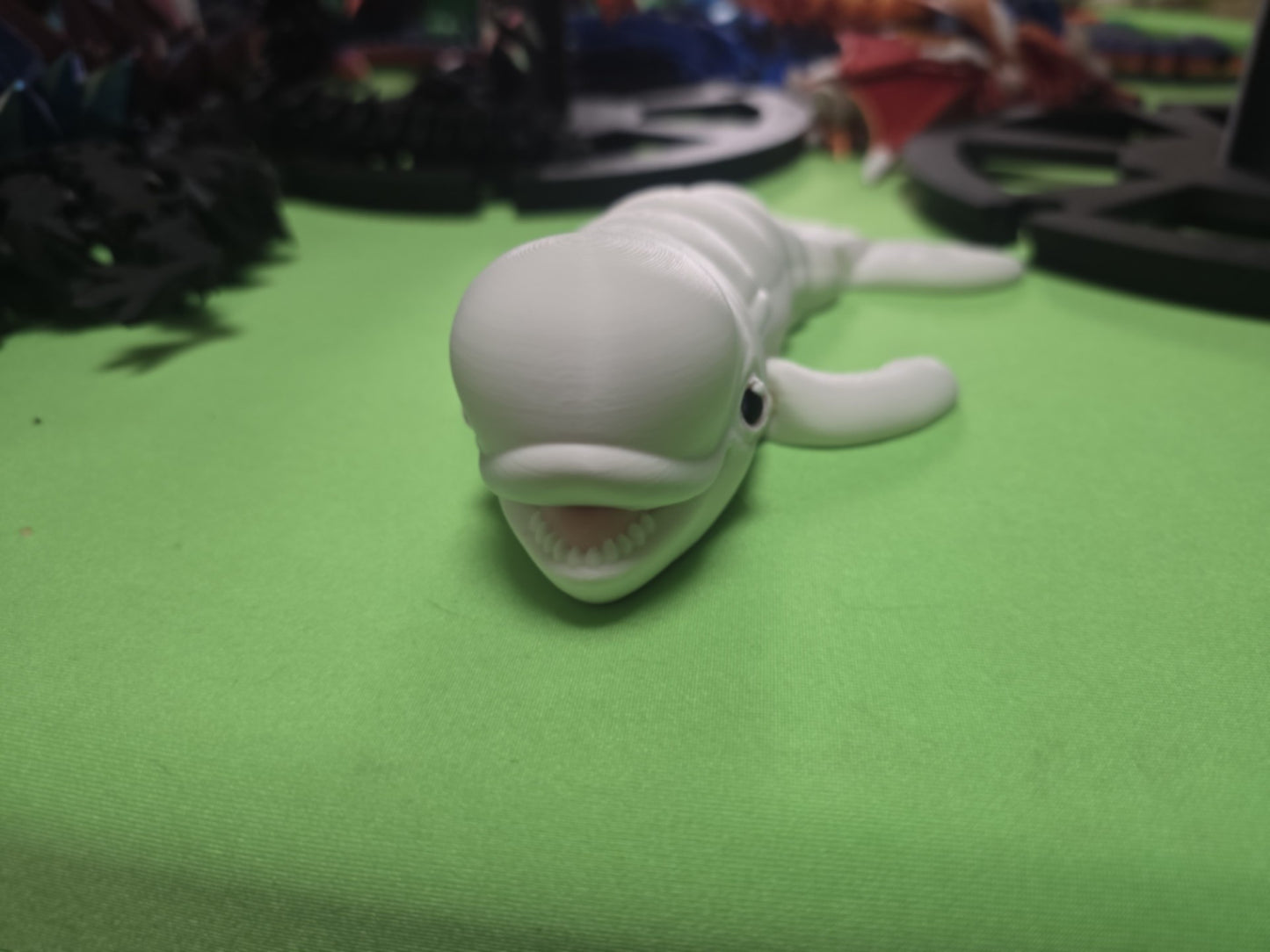 Beluga Whale