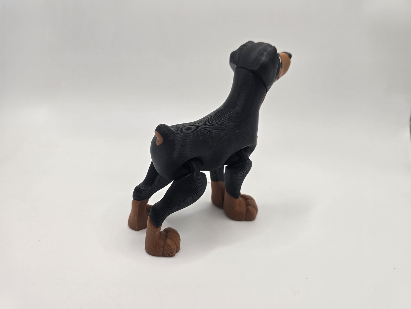 Doberman - No Hands 3d