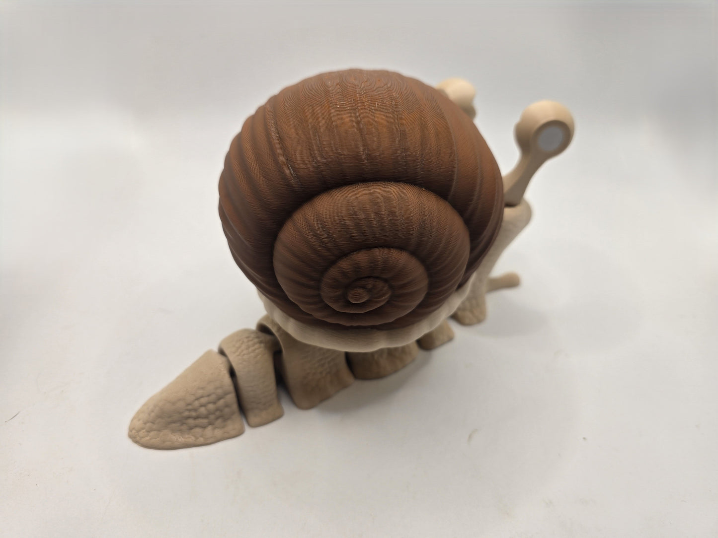 Giant Snail - No Hands 3d