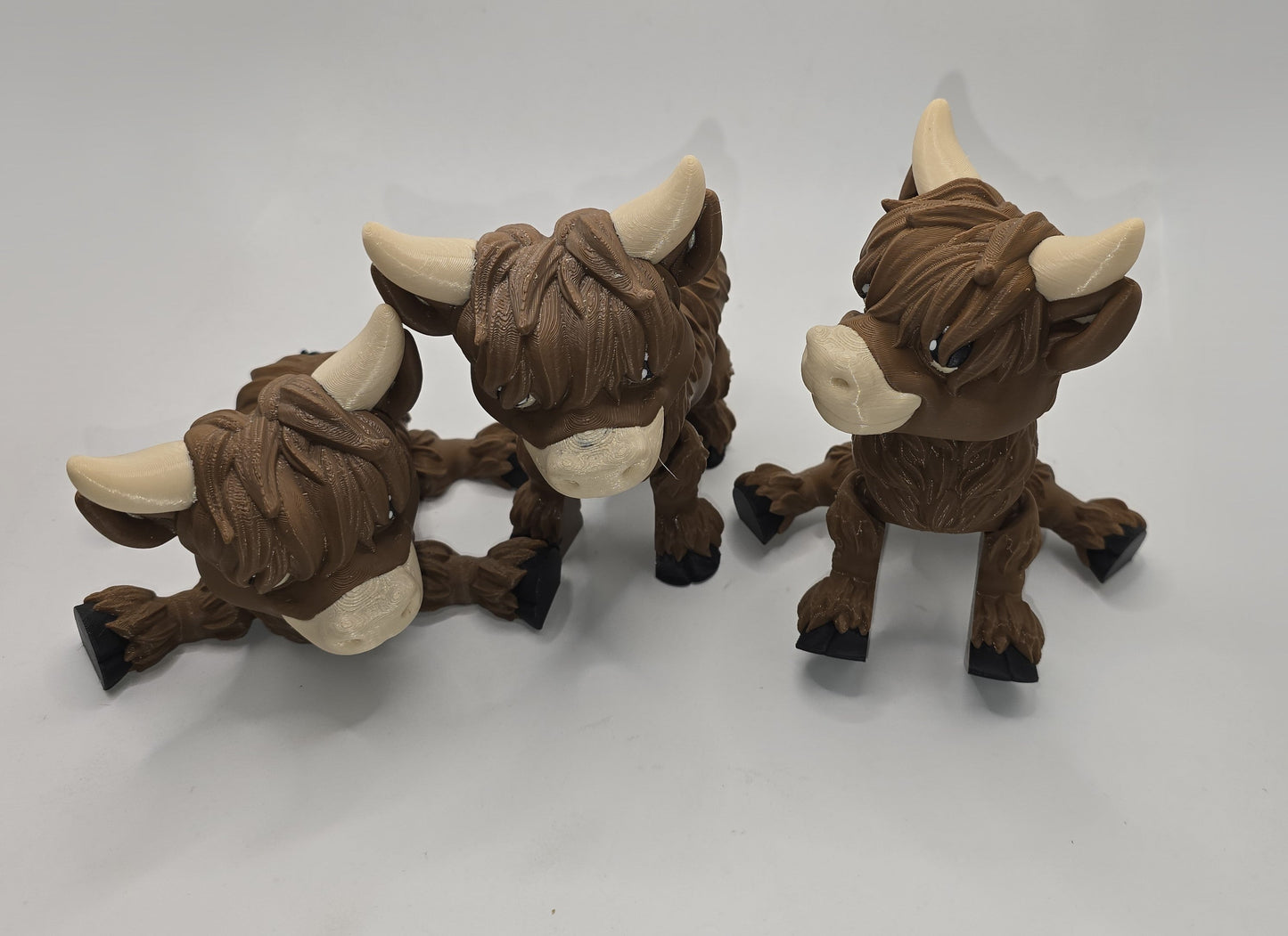 Harry the Highland cow - No Hands 3d
