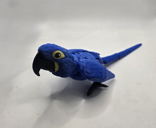 Hyacinth Macaw - No Hands 3d