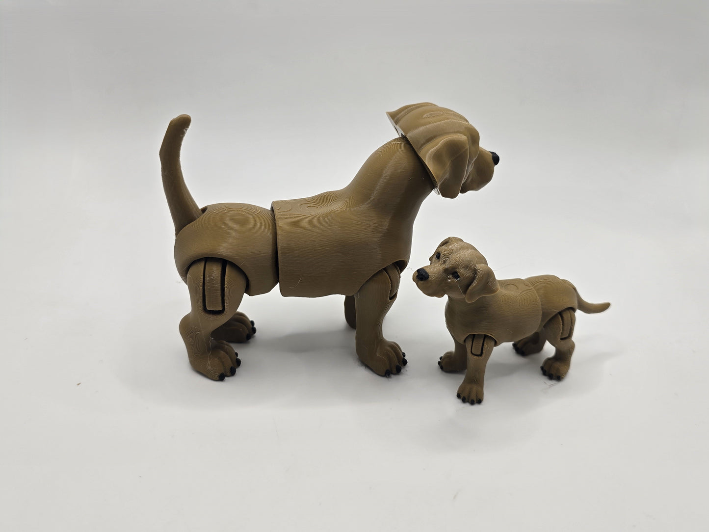Labrador - No Hands 3d
