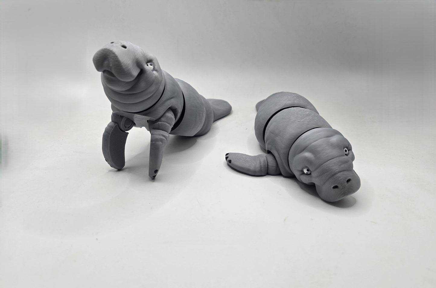 Manatee - Sea Cows - No Hands 3d