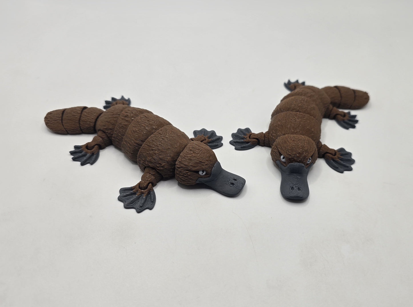 Platypus - No Hands 3d