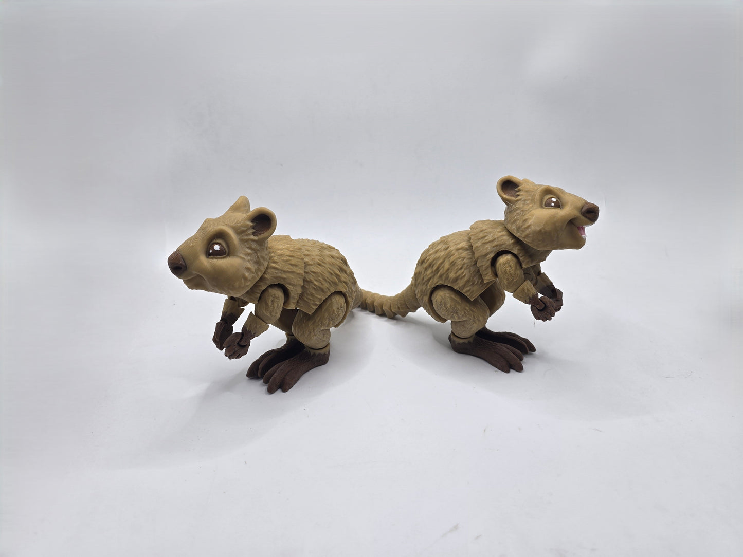 Quokka's - No Hands 3d