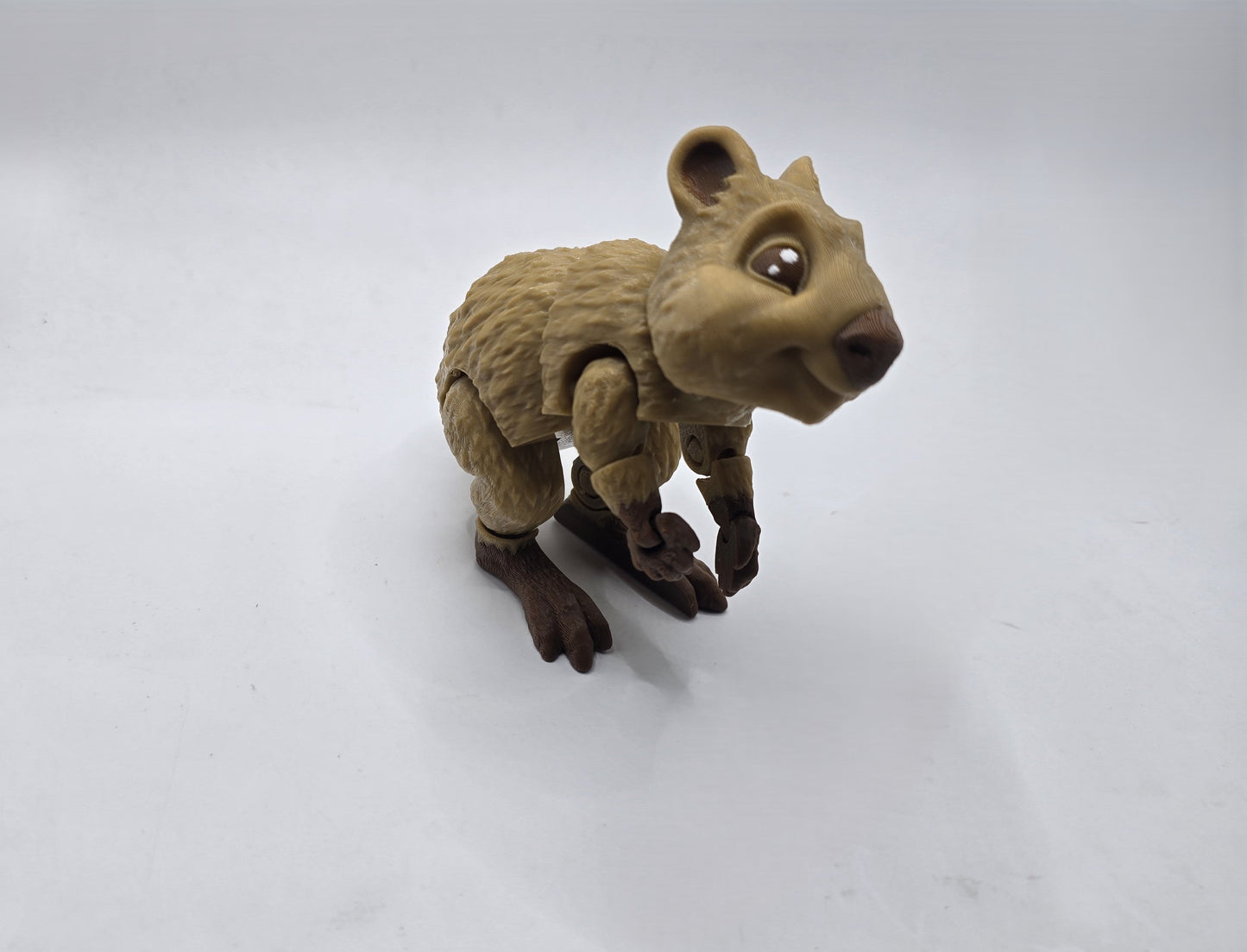 Quokka's - No Hands 3d