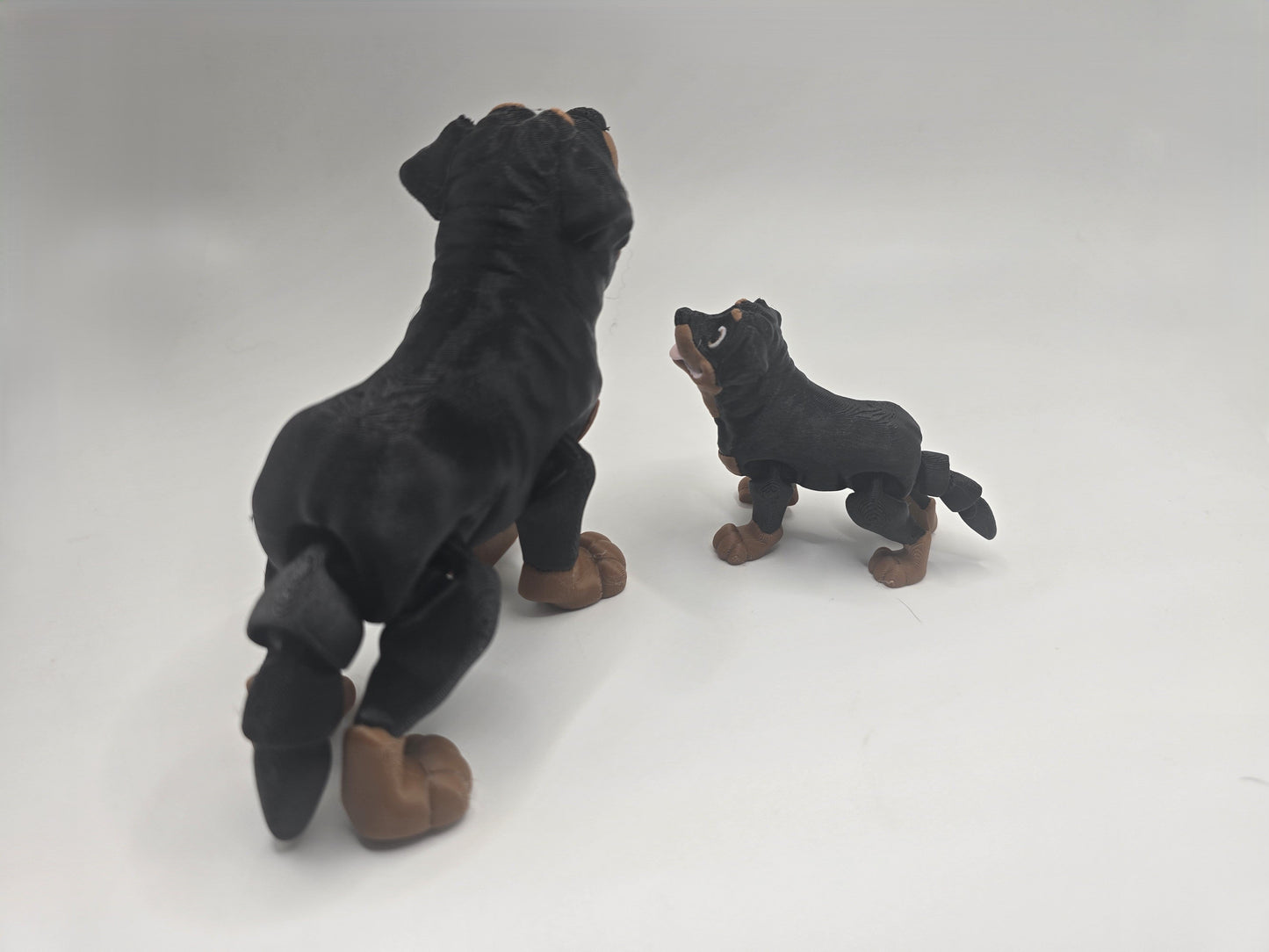 Rottweiler - No Hands 3d