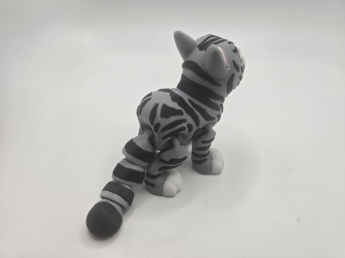 Short Haired Cat - No Hands 3d