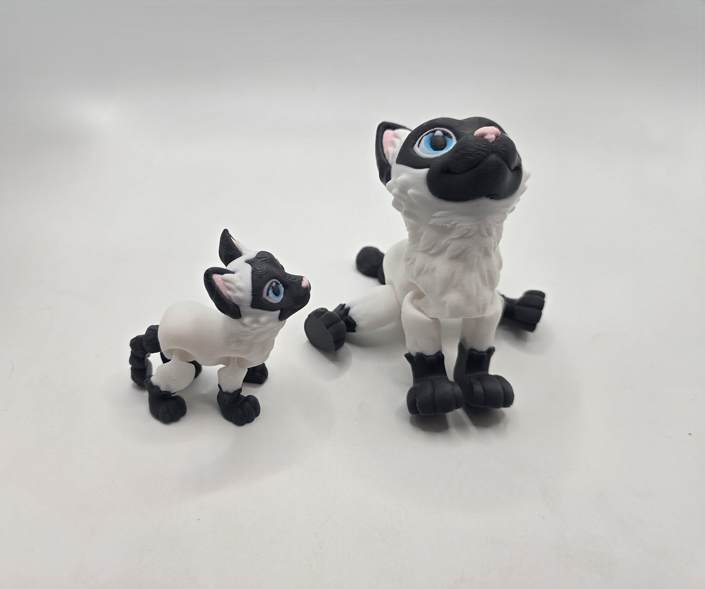 Siamese Cat - No Hands 3d
