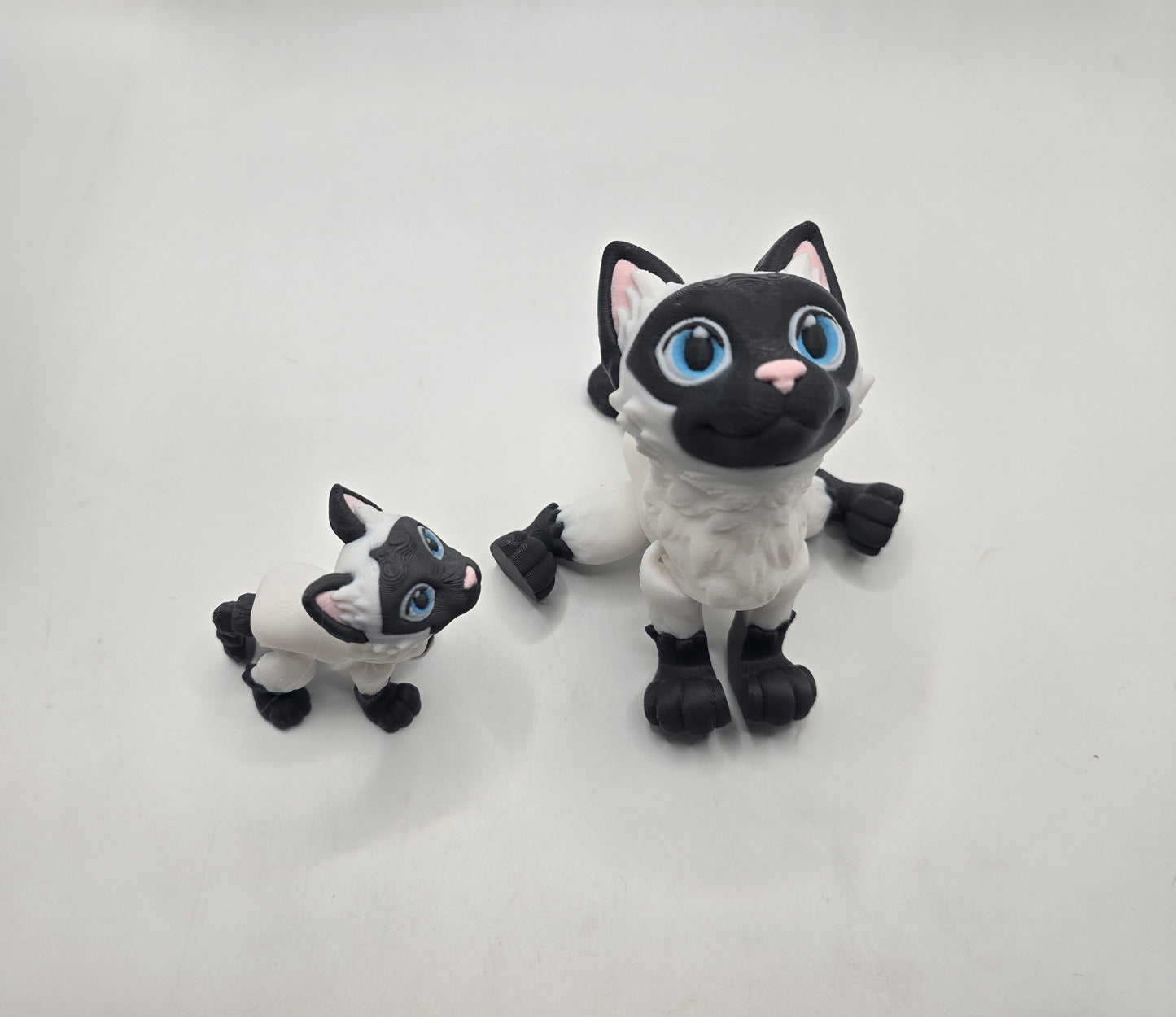 Siamese Cat - No Hands 3d