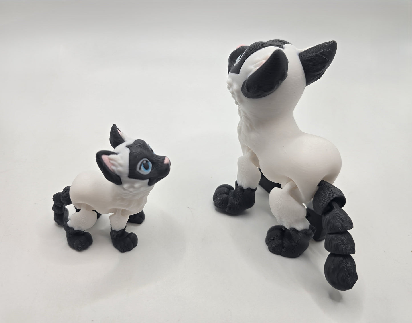 Siamese Cat - No Hands 3d