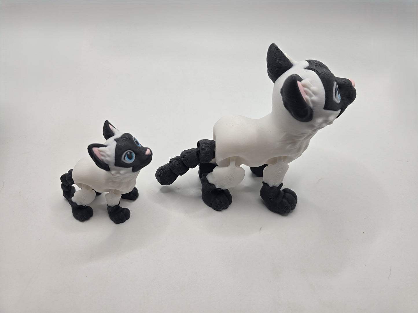 Siamese Cat - No Hands 3d