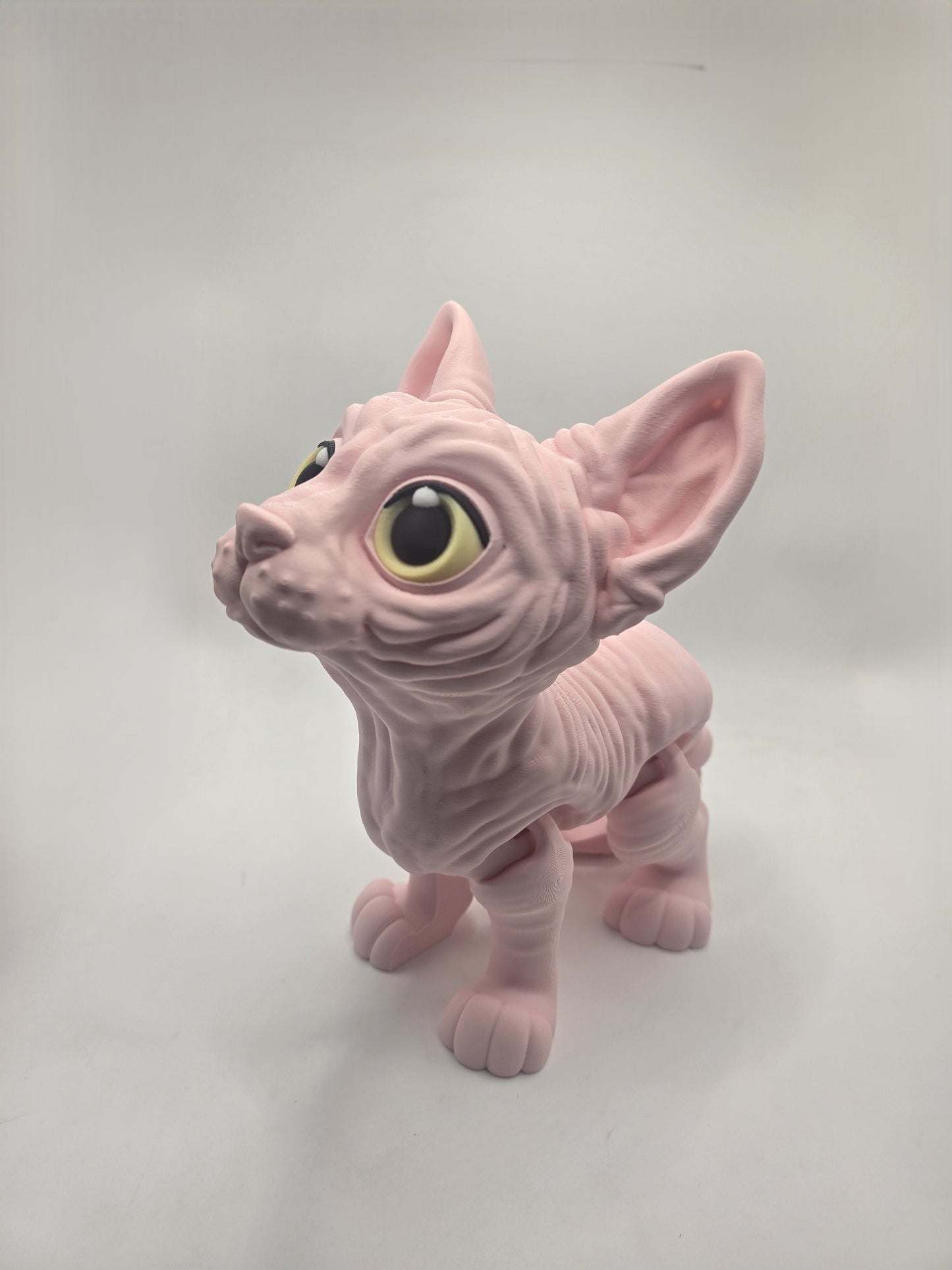 Sphynx Cat (Tofu) - No Hands 3d