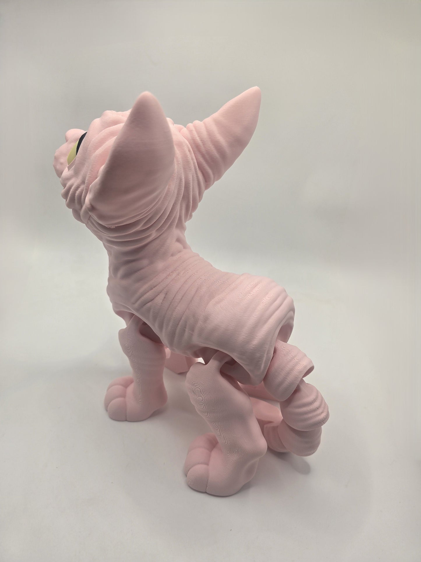Sphynx Cat (Tofu) - No Hands 3d