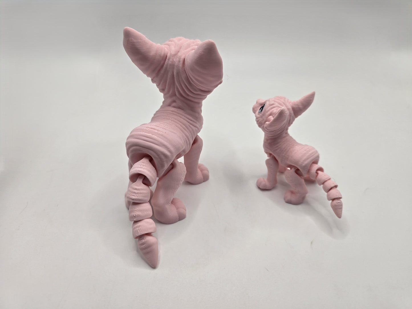Sphynx Cat (Tofu) - No Hands 3d