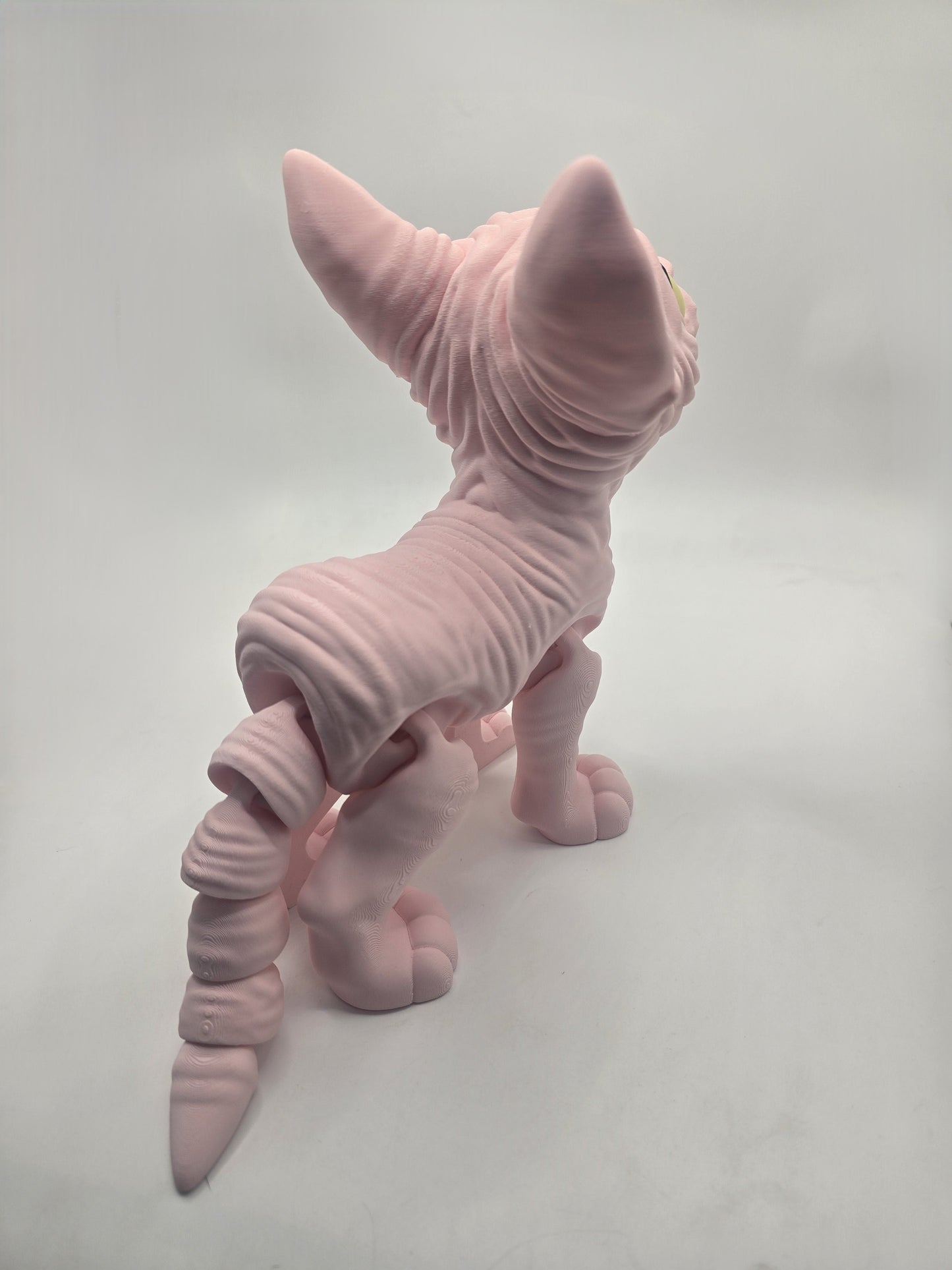 Sphynx Cat (Tofu) - No Hands 3d