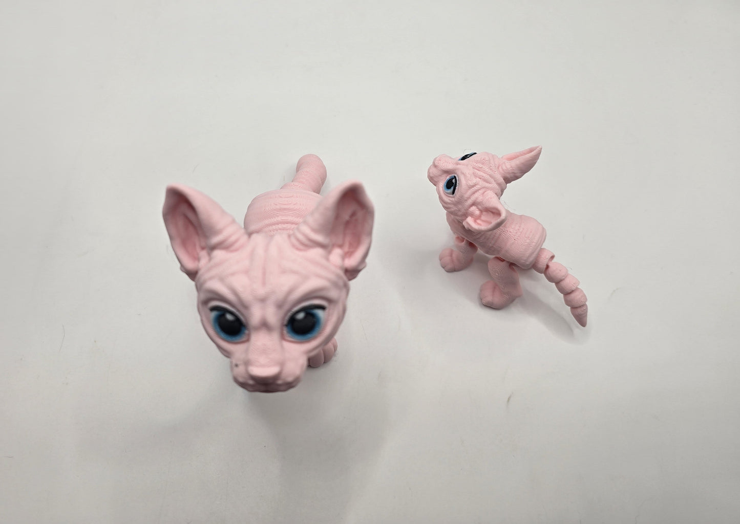Sphynx Cat (Tofu) - No Hands 3d